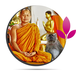 Le moine accompagné d'un singe - Astrologie Tibétaine Le moine accompagné d'un singe - Astrologie Tibétaine