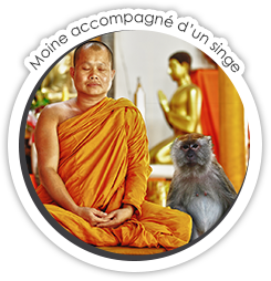 Moine accompagné d'un singe Signe de Compatibilité : Moine accompagné d'un singe