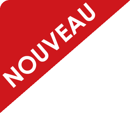 Nouveau Voyant privée